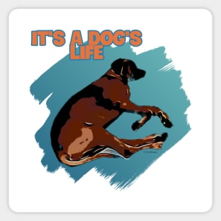 It's a dog's life Sticker